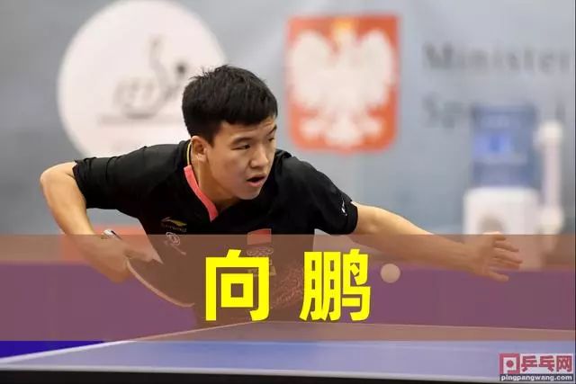 外野手应建 外野手应建