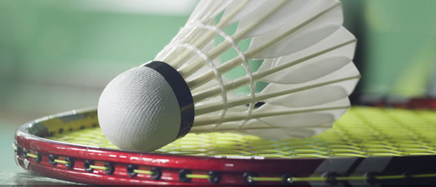 贡献占比高 贡献占比高